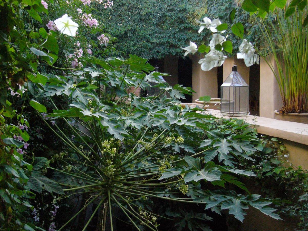 Dar Zahia Hotel Taroudant Eksteriør billede