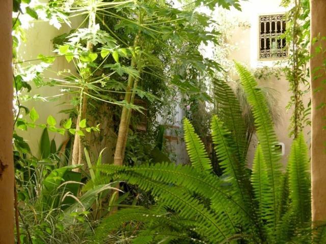 Dar Zahia Hotel Taroudant Eksteriør billede