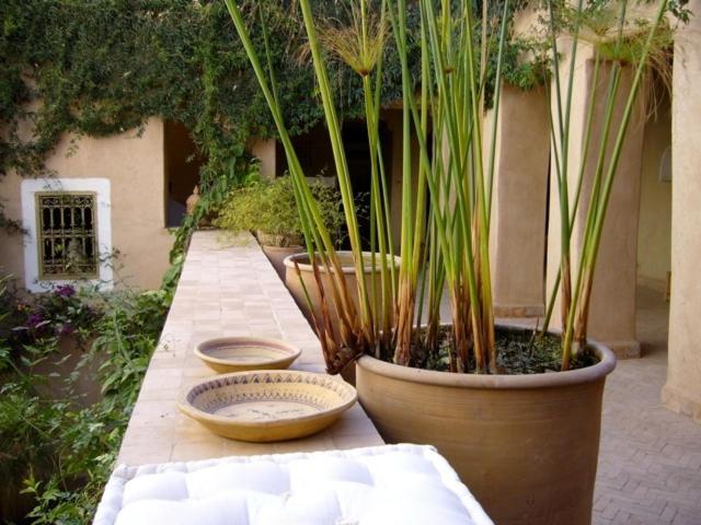 Dar Zahia Hotel Taroudant Eksteriør billede