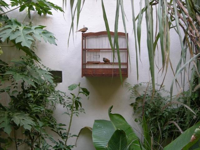 Dar Zahia Hotel Taroudant Eksteriør billede