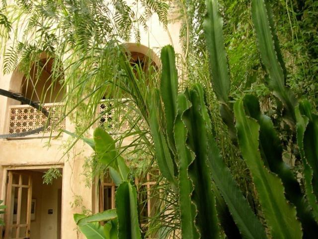Dar Zahia Hotel Taroudant Eksteriør billede