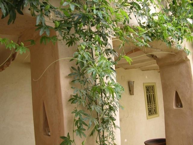 Dar Zahia Hotel Taroudant Eksteriør billede