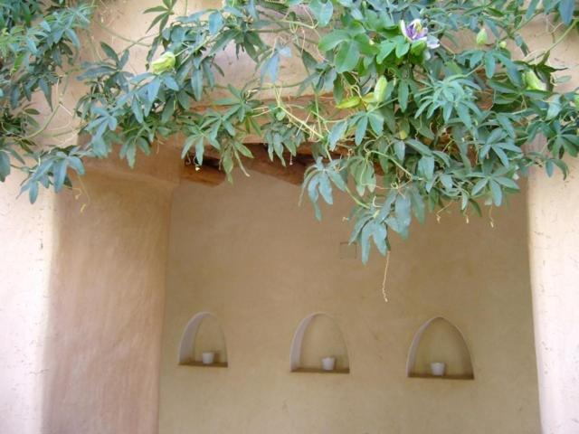 Dar Zahia Hotel Taroudant Eksteriør billede
