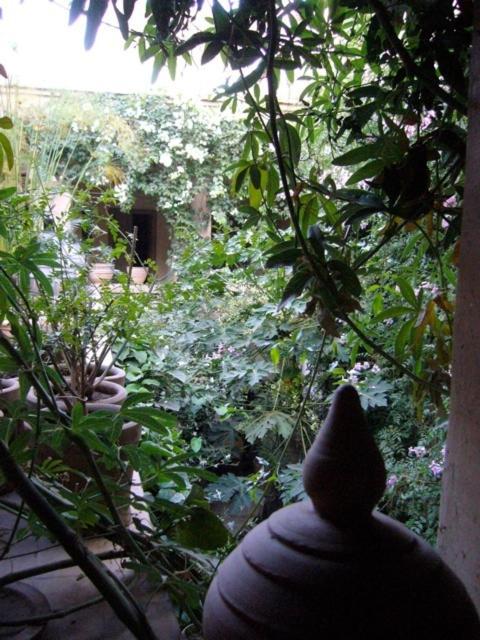 Dar Zahia Hotel Taroudant Eksteriør billede