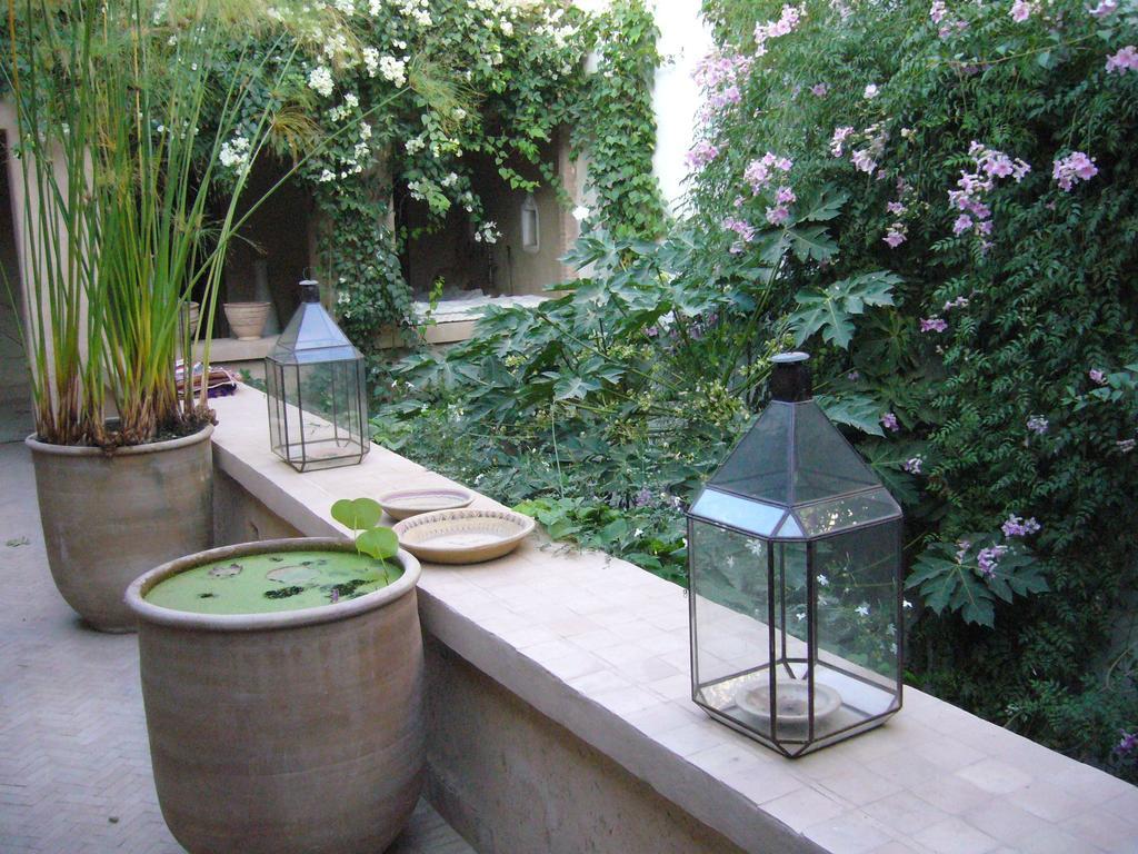 Dar Zahia Hotel Taroudant Værelse billede